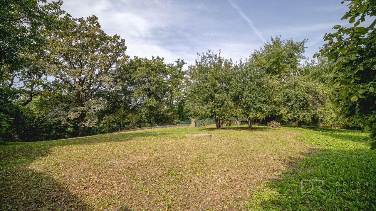 Rekreačný pozemok s vlastným lesom | 4 500 m² | KE - Krásna