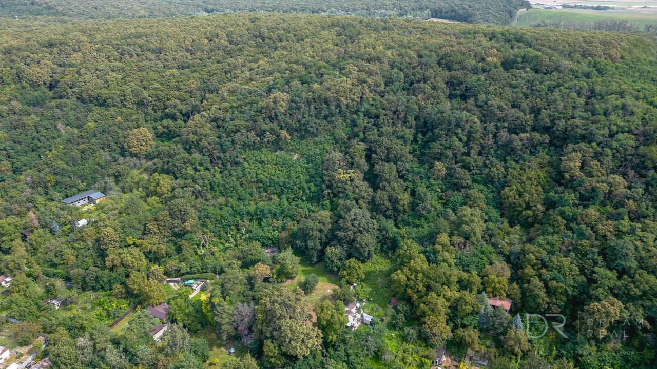 Rekreačný pozemok s vlastným lesom | 4 500 m² | KE - Krásna