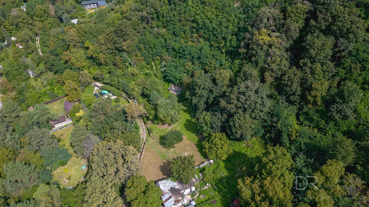 Rekreačný pozemok s vlastným lesom | 4 500 m² | KE - Krásna