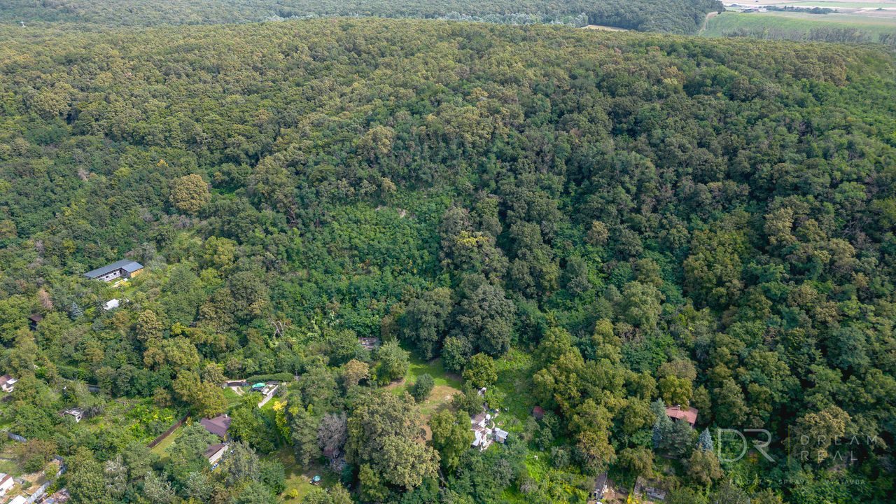 Rekreačný pozemok s vlastným lesom | 4 500 m² | KE - Krásna